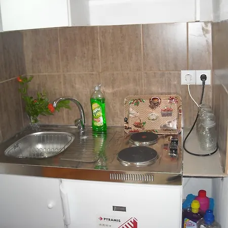 Vournio Country house *